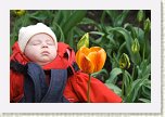 DSC01320-7 * 04 - Parfumul tau m-a  adormit * 3872 x 2592 * (6.89MB)